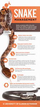 Maybe you would like to learn more about one of these? Pin On Pets Animals