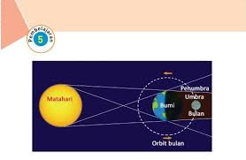 Kunci jawaban buku tematik tema 3 kelas 5 sd halaman1 yang dilakukan edo adalah menyapu halaman yang dilakukan ibu adalah kunci jawaban buku tematik tema 3 kelas 5 sd halaman 70 membuat surat penawaran kamu telah mengetahui berbagai peralatan listrik dan k. Kunci Jawaban Tema 8 Kelas 6 Halaman 83 84 85 86 Subtema 2 Pembelajaran 5 Halo Belajar