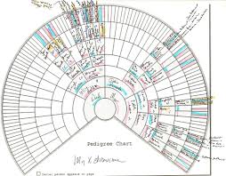 Using X And Mitochondrial Dna Charts By Charting Companion