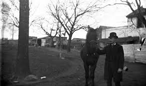 Clement B. Webster, with horse,