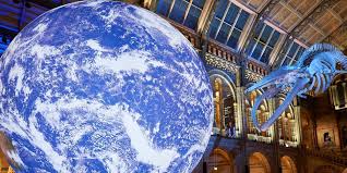 We did not find results for: Le Museum D Histoire Naturelle De Londres Declare Une Urgence Planetaire Et Revele Une Nouvelle Strategie A L Horizon 2031 Club Innovation Culture Clic France
