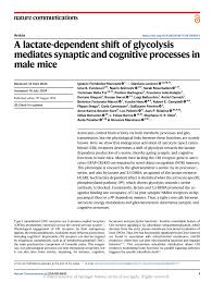 PDF) A lactate-dependent shift of glycolysis mediates synaptic and  cognitive processes in male mice