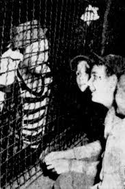 Borchert Field: "Cowboys Swarm Where Brewers Used To Frolic", 1945