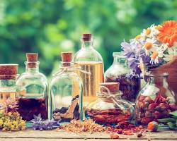 Tinctures of herbs