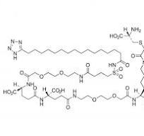 High Quality Polyethylene Glycol Derivatives (PEGs ...