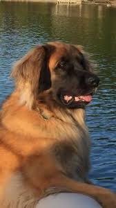 Karla Falk from Woodside High School