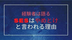 sesはやめとけと言われる理由 新卒入社した私が闇をさらします とりちのit備忘録 新卒 エンジニア 転職