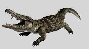 Well, the baby crocodiles you see in the closing of the other movie apparently have grown up, and now have. Max Lake Placid Movies Wiki Fandom