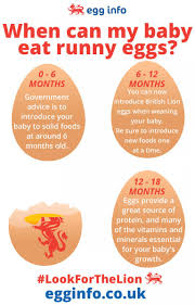 Advice On Eggs For Mums And Babies Egg Info