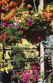 Spring Gardening Tips Seasonal Classes & Events Ms. Smarty-Plants™ Turns 10!