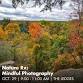 Nature Rx: Mindful Photography event image