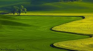 You can then use your operating system to set them as your. Hd Wallpapers For Pc 1080p Free Download Group 85