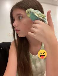 sofi sane是谁- 抖音