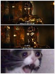 Star Wars The Rise Of Skywalker Memes That Are Making Us Cry 28 Memes Feels Gallery Star Wars Memes Star Wars Humor Funny Star Wars Memes