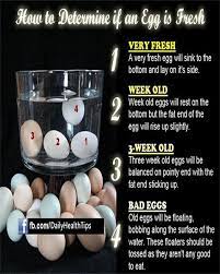 How To Determine If An Egg Is Fresh.
