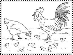 Unduh mewarnai ayam jago ini yang bisa dicetak. Mewarnai Gambar Ayam Anak Cemerlang