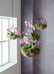 This Orchid Planter Project Will Be A Conversation Starter Hanging Plants Indoor Orchid Planters Hanging Orchid