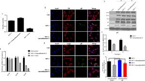 If you're part of a certain minority, though, it may be causing one or more illnesses. Anti Hsv 1 Activity Of Aspergillipeptide D A Cyclic Pentapeptide Isolated From Fungus Aspergillus Sp Scsio 41501 Virology Journal Full Text