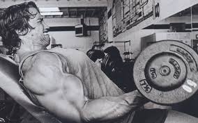 Arnold Schwarzenegger Bodybuilding Workout Routine And Diet