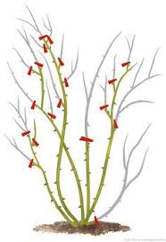 Epingle Sur Jardin