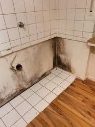 Beseitigung des schimmels gegenüber vermieter durchsetzen. Schimmel In Der Wohnung Vermieter Sagt Nein Kein Schimmel Soll Ich Da Einziehen Oder Lieber Nicht