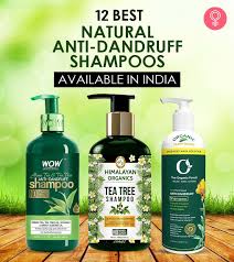 12 Best Natural Anti Dandruff Shampoos In India With Reviews
