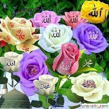 Posted by unknown at 23:44. Islamic Allah Mohammad Saw Name Wallpaper 3 Jpg 480 480 My Little Pony Coloring Islamic Images Stylish Alphabets