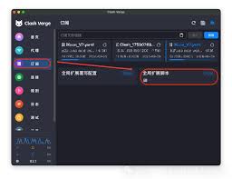 Clash Verge进阶玩法，解决泄漏真实IP的问题- Clash Verge Rev ...