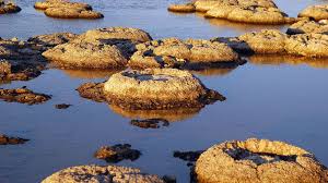 This exoplanet, the oldest ever detected in our milky way galaxy. Stromatolites The Earth S Oldest Living Lifeforms Bbc Travel