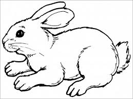 Free printable doctor coloring page. Realistic Rabbit Coloring Page For Kids Coloringbay