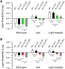 Maybe you would like to learn more about one of these? Luminescence And Nanoparticle Mediated Increase Of Light Absorption By Photoreceptor Cells Converting Uv Light To Visible Light Scientific Reports
