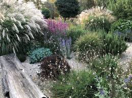 Michael Mccoy On Instagram Hadn T Seen This Garden In About Two Years Having Designed It A Couple Of Years Earlier Than That It S Quite A Small Secluded Sp I 2020