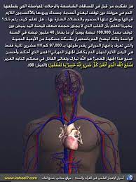 صورة وآية رحلة الدم islamic nasheed islam quran