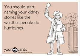 Shop for the perfect kidney stone humor gift from our wide selection of designs, or create your own personalized gifts. You Should Start Naming Your Kidney Stones Like The Weather People Do Hurricanes Kidney Stones Funny Kidney Stones Bones Funny