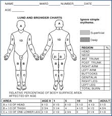 We did not find results for: Managing Non Complex Burns Independent Nurse