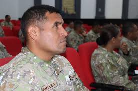 Sinergias en seguridad: La colaboración entre Seguridad Nacional y  Seguridad Privada