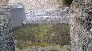 Maybe you would like to learn more about one of these? Patio Before And After Dublin Handyman Services Facebook
