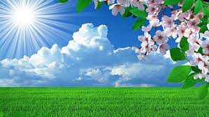 1920x1080 spring scenery wallpaper sfondi immagini. Spring Pics 1080p 2k 4k 5k Hd Wallpapers Free Download Wallpaper Flare