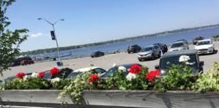 Hours may change under current circumstances Town And Country Flowers Archives The Island Now