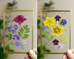 Flowers in glass exporters from hong kong s.a.r. Framed Pressed Flowers Pressed Flower Frame Floating Frame Etsy Flower Frame Pressed Flowers Floating Frame