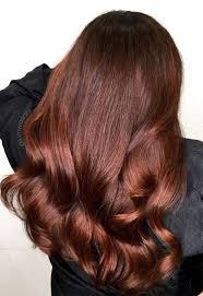When selecting this particular color, you need to take a few minutes to match the perfect tone with your skin complexion. 55 Auburn Hair Color Shades To Burn For Auburn Hair Dye Tips Glowsly