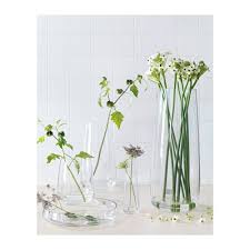 Berakna Clear Glass Bowl Ikea Clear Glass Glass Lily Vases
