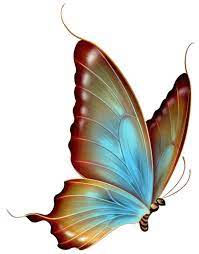 110795663 Large 0 A3eac 2ecfccfb Xl Gif 547 699 Butterfly Clip Art Butterfly Art Butterfly Pictures