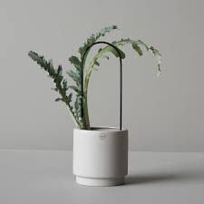 Flower Plant Support Black Dbkd Royaldesign