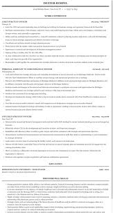 chief strategy officer resume sample