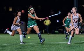 Image result for Ochna hackarsii