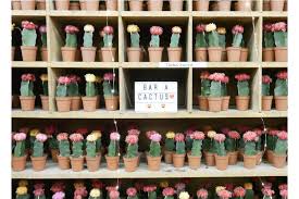 Le Jardin Ephemere De La Maison Bouture