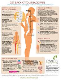 Pin On Physical Therapy Anatomy