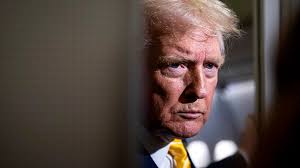 Josh Altman Net Worth 2024: How Much Money Does Million Dollar Listing LA  Star Make?