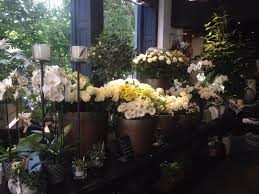 Dans le langage des fleurs il signifie ardeur fragile. Coquelicot Fleuriste Belfort Territoire De Belfort 90